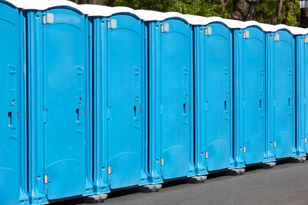 Reliable Moscow Mills, MO Portable Potty Rental  Solutions